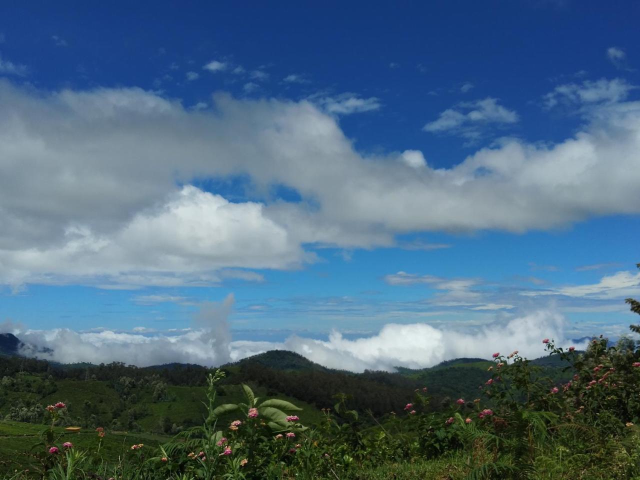 Drizzle Drop Inn Ooty Buitenkant foto
